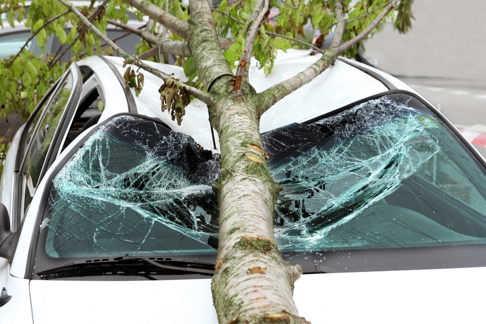 Hai ritrovato l'auto danneggiata nel parcheggio? Ecco che cosa fare per ottenere il risarcimento danni