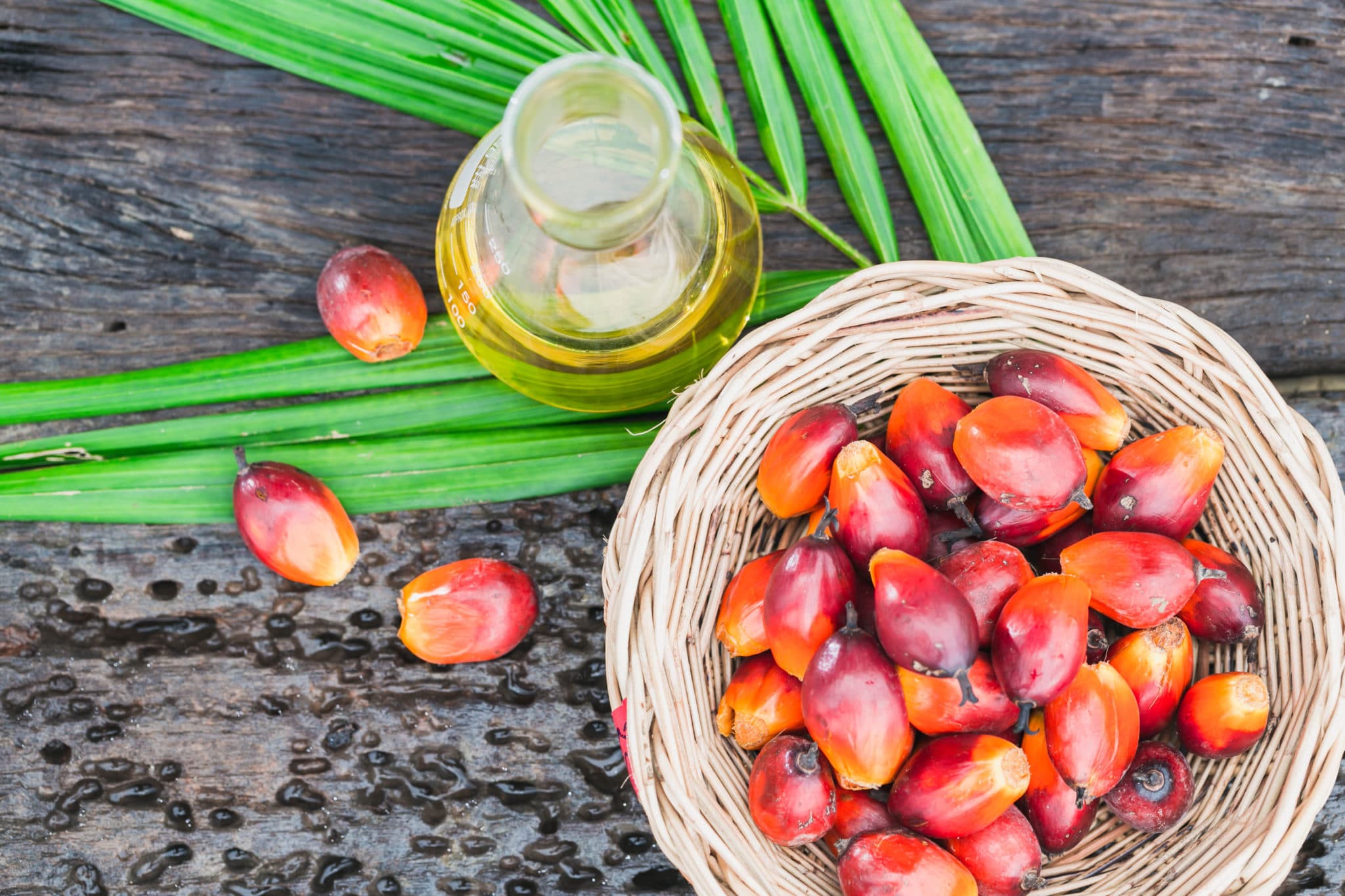 L'olio di palma fa bene o fa male?