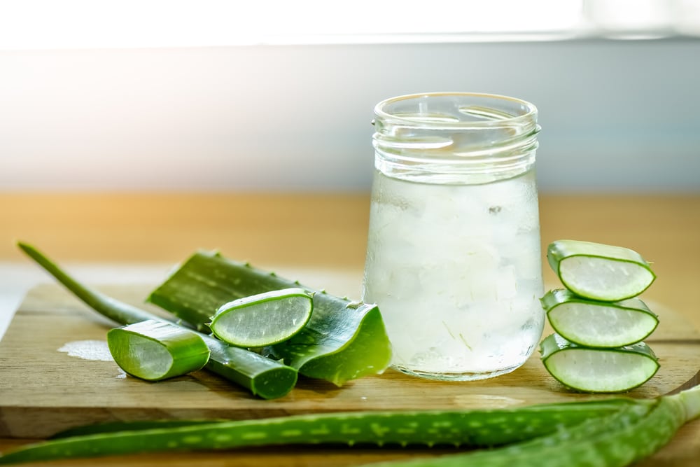 Aloe vera ecco le proprietà e i benefici di questa pianta