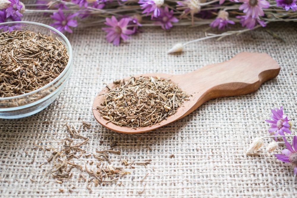 Benefici e proprietà della valeriana, un calmante naturale