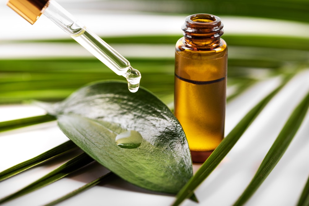 Tea tree oil le proprietà curative e benefiche e gli usi