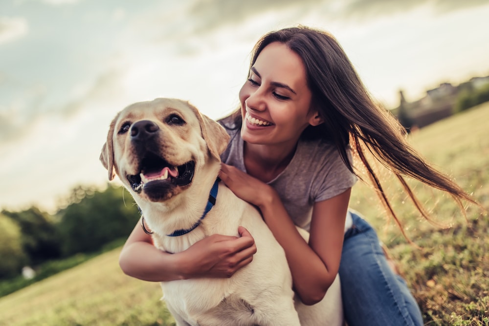 Come capire se i cani soffrono il solletico