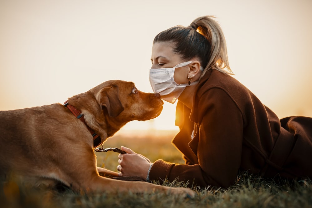 La Lav propone animal social bonus per famiglie con animali