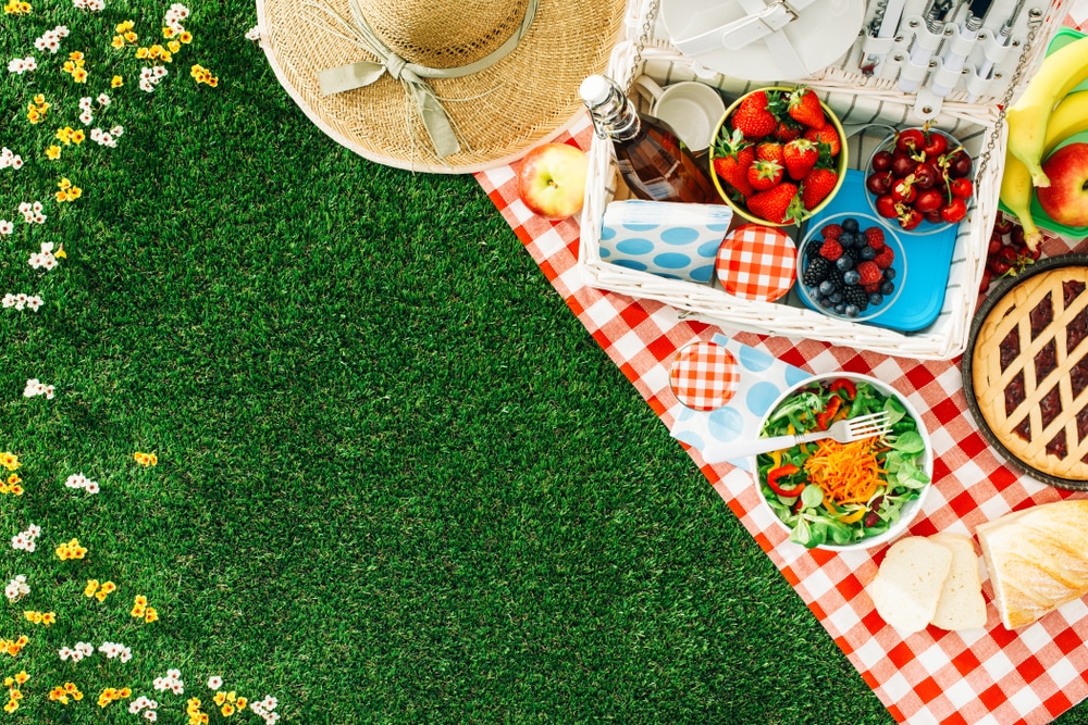 Come organizzare un picnic perfetto ecco alcuni consigli