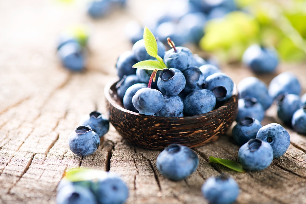 Mirtillo proprietà benefiche di questo frutto di bosco