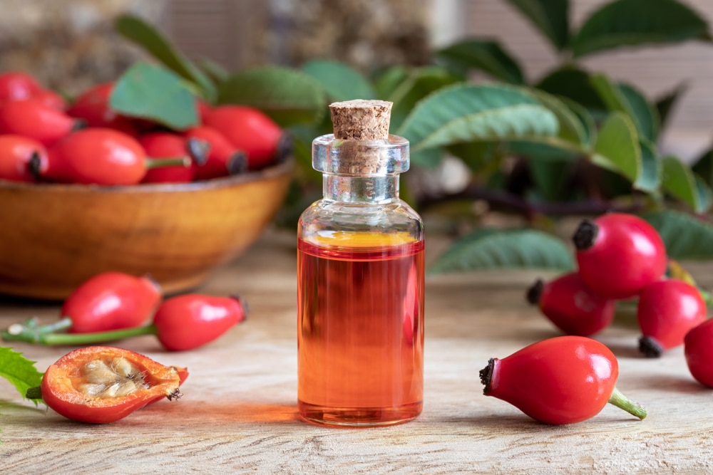 Olio di rosa mosqueta: tutte le proprietà e i benefici