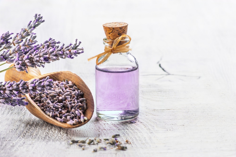 Olio essenziale di lavanda tutte le proprietà benefiche