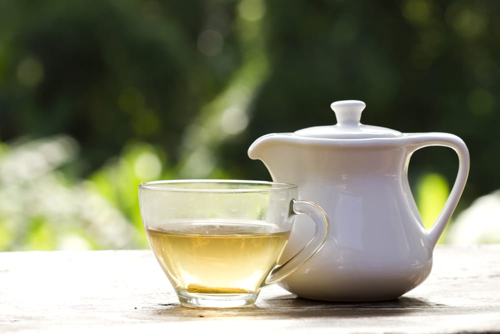 Tè bianco proprietà e benefici del tè dell'imperatore