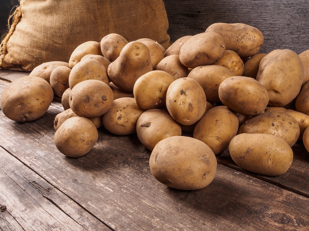 Coltivare le patate ecco come farlo nel modo corretto