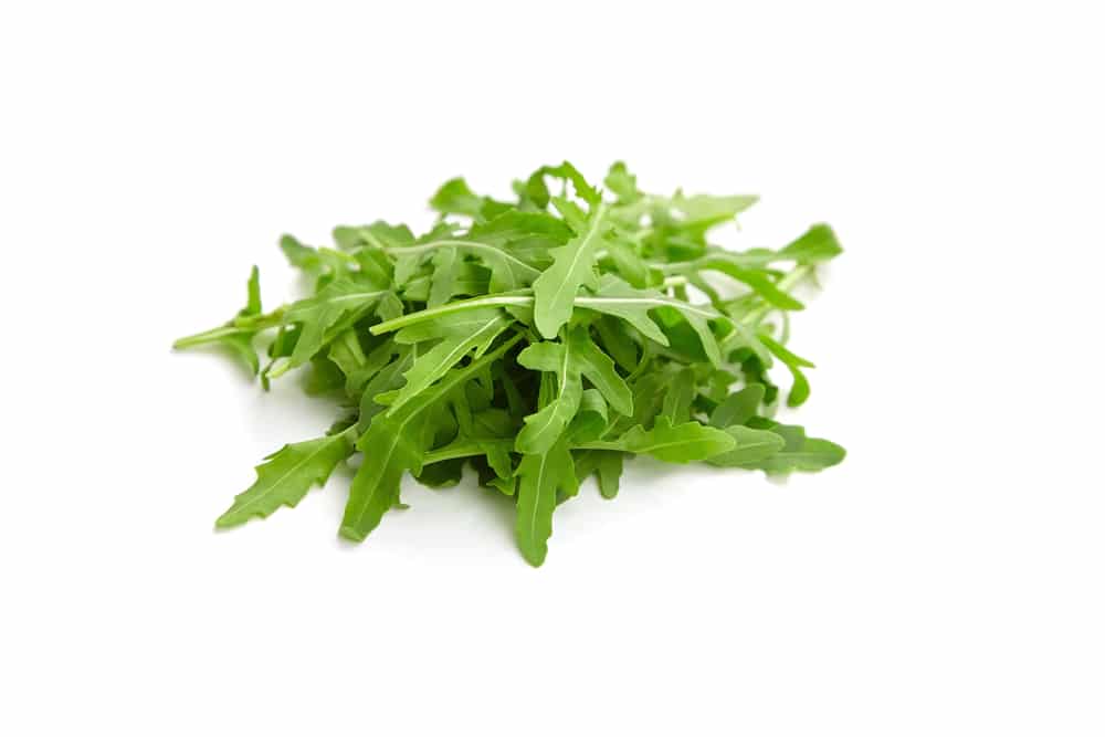 Come coltivare la rucola consigli e linee guida