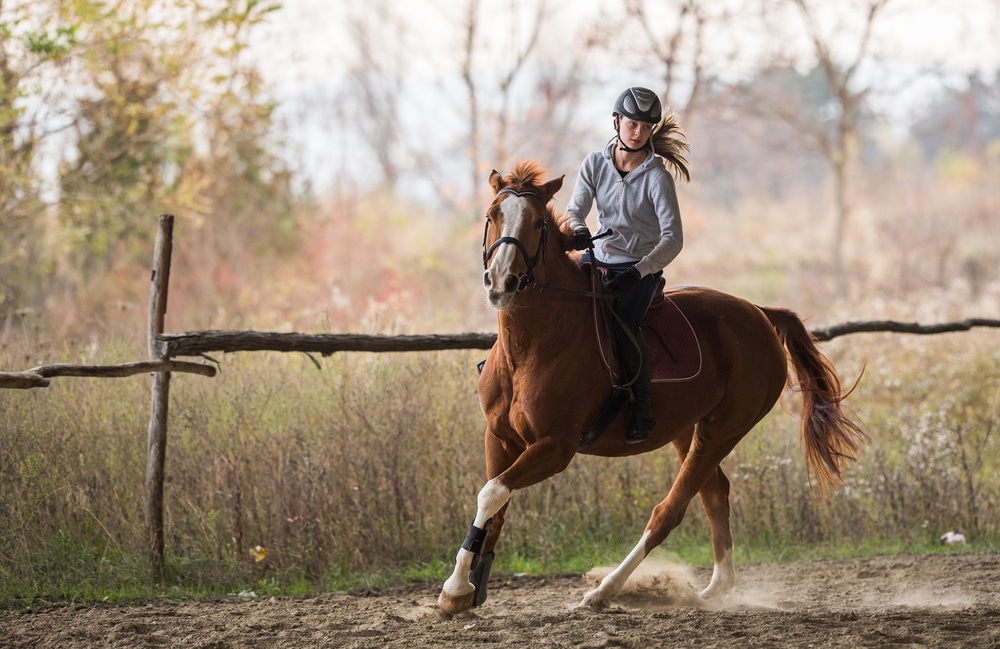 Equitazione tutti i benefici di questo sport