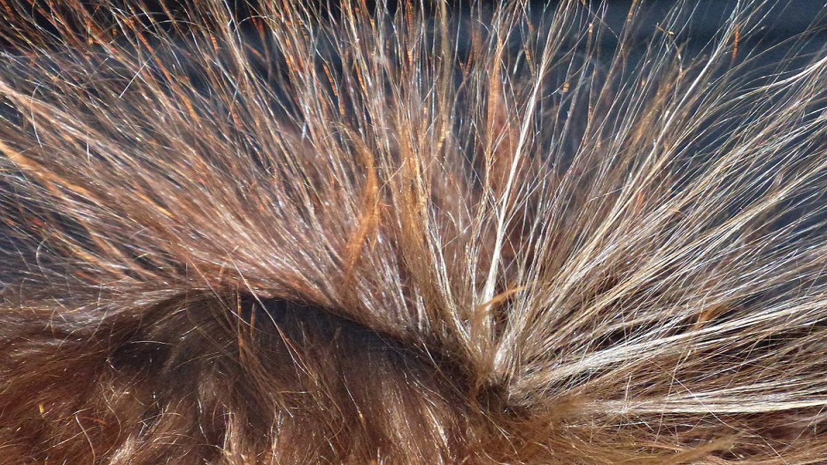 Capelli Elettrici, quali sono le cause e come rimediare