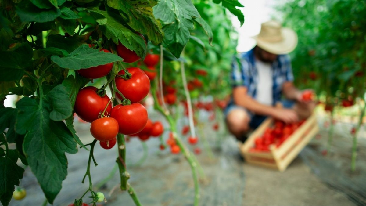 Contributo per le attività stagionali, al via le domande