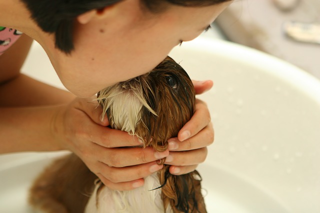 spazzola-per-cani-bagno