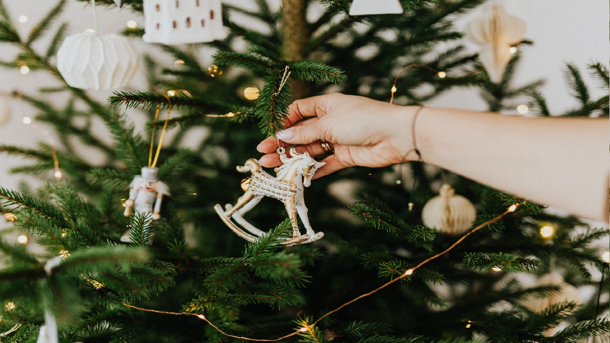 Albero di Natale: come farlo in modo ecosostenibile