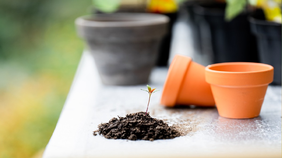 Garden Therapy: diciamo addio allo stress