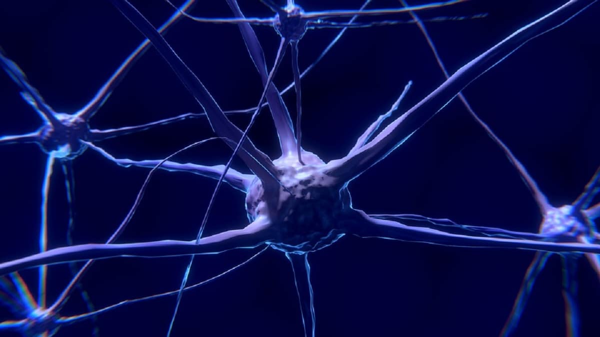 Alzheimer: colpisce tutti i neuroni indiscriminatamente?