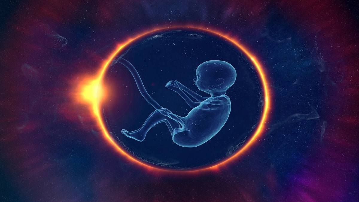 Scienza: la schizofrenia potrebbe avere origine nell'utero