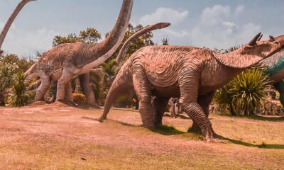 Chi erano i predatori prima dei dinosauri?