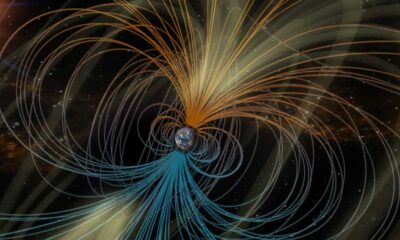 La gravità agisce allo stesso modo su materia e antimateria?