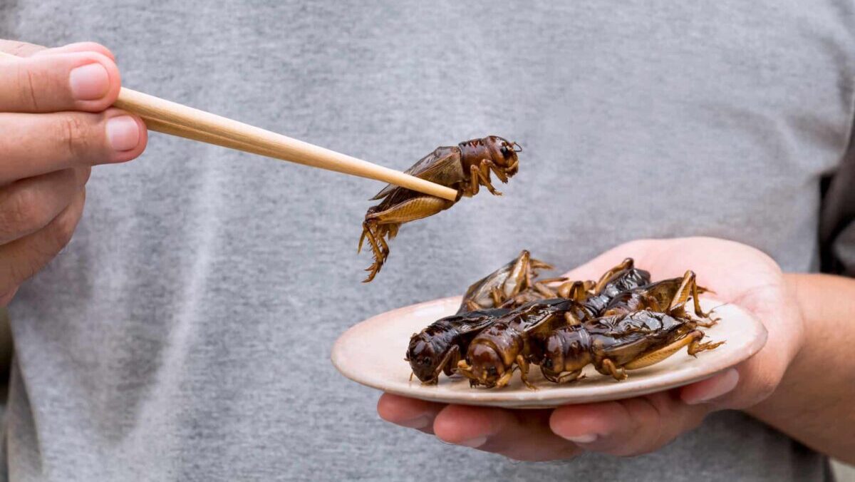Indovina chi mangia insetti come pasto quotidiano