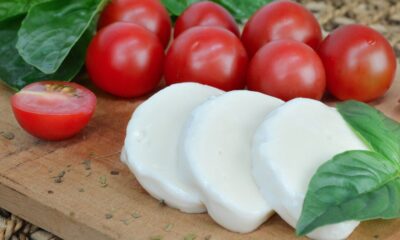 Scoperti i microbi essenziali della mozzarella di bufala